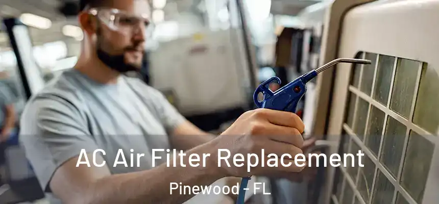 AC Air Filter Replacement Pinewood - FL