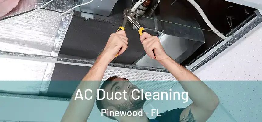 AC Duct Cleaning Pinewood - FL
