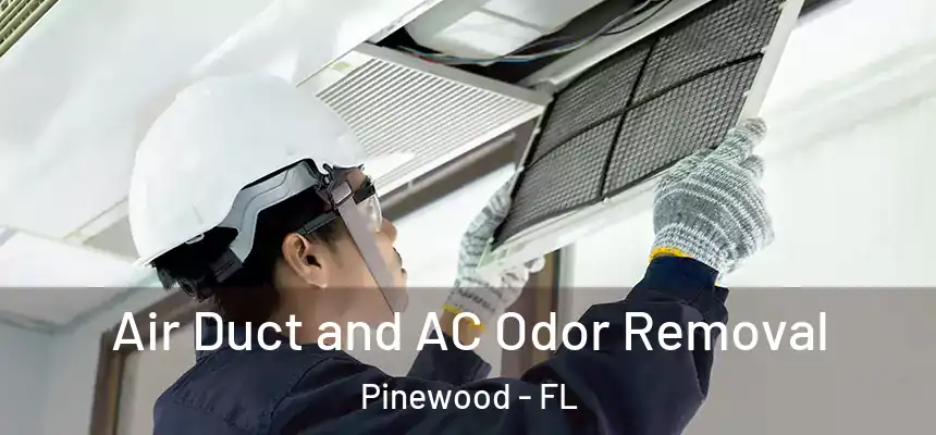 Air Duct and AC Odor Removal Pinewood - FL