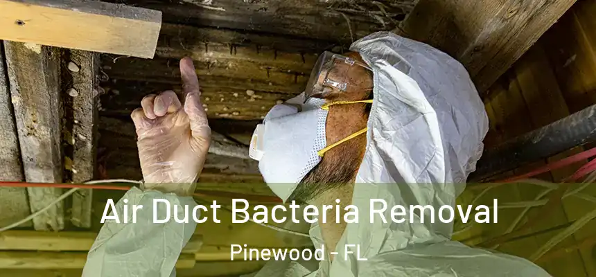 Air Duct Bacteria Removal Pinewood - FL