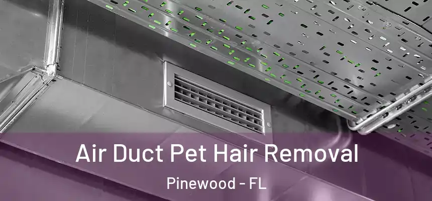 Air Duct Pet Hair Removal Pinewood - FL
