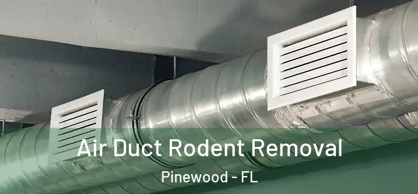 Air Duct Rodent Removal Pinewood - FL
