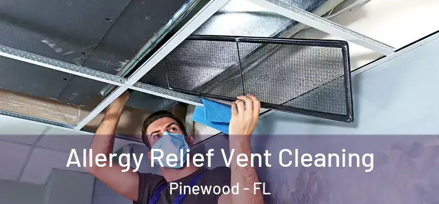 Allergy Relief Vent Cleaning Pinewood - FL