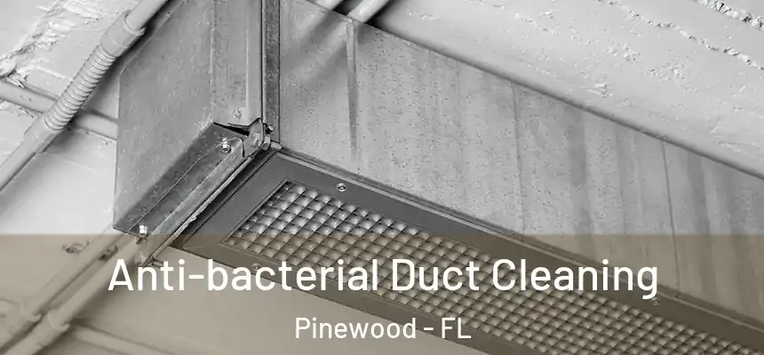 Anti-bacterial Duct Cleaning Pinewood - FL
