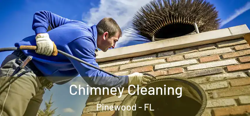 Chimney Cleaning Pinewood - FL