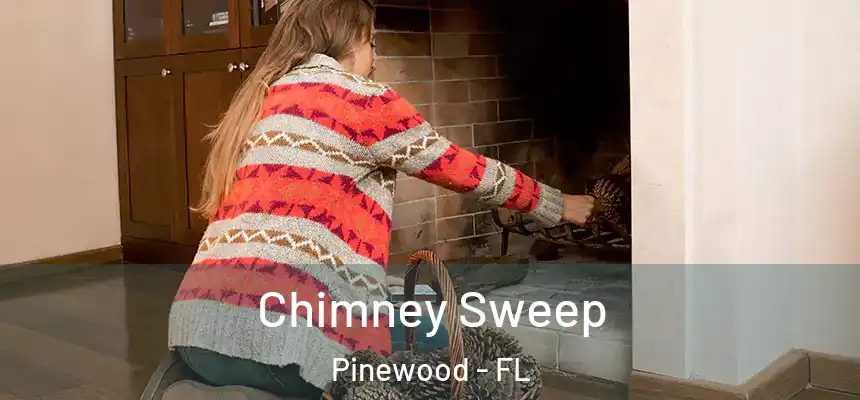  Chimney Sweep Pinewood - FL