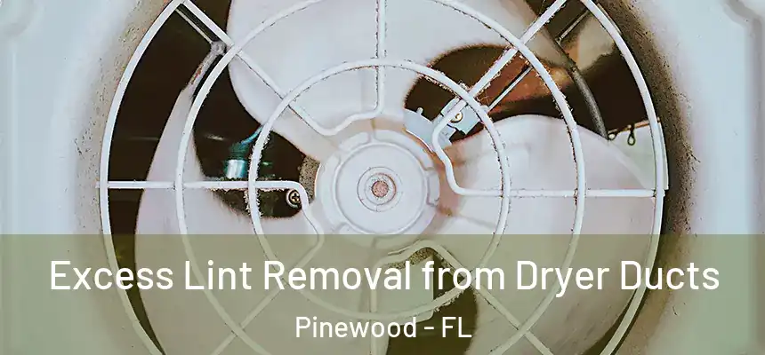 Excess Lint Removal from Dryer Ducts Pinewood - FL
