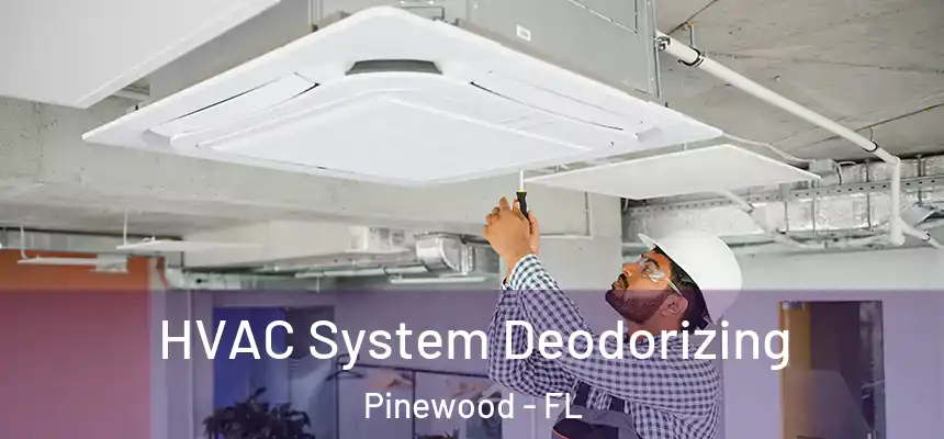 HVAC System Deodorizing Pinewood - FL