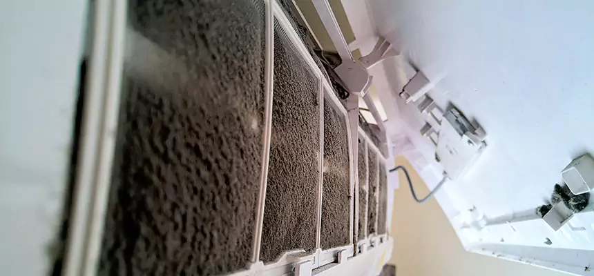 Preventive Air Duct Bacteria Removal in Pinewood