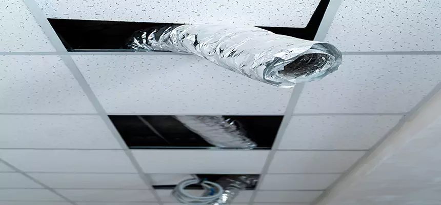 Our Air Duct Pet Hair Removal Services in Pinewood, FL