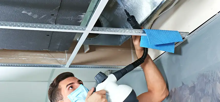 Our Air Duct Rodent Removal Services in Pinewood, FL