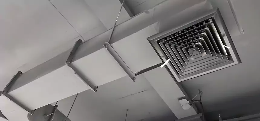 Restorative Allergy Relief Vent Cleaning – Coil, Blower & Housing Detail in Pinewood