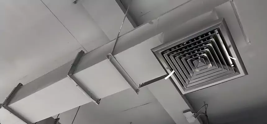 Our Rodent Droppings In Vents Services in Pinewood, FL