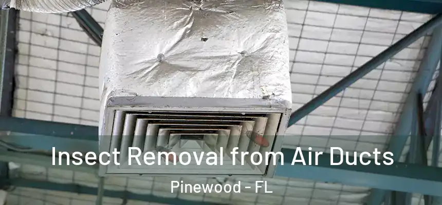 Insect Removal from Air Ducts Pinewood - FL