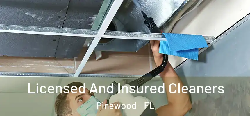 Licensed And Insured Cleaners Pinewood - FL