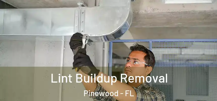 Lint Buildup Removal Pinewood - FL
