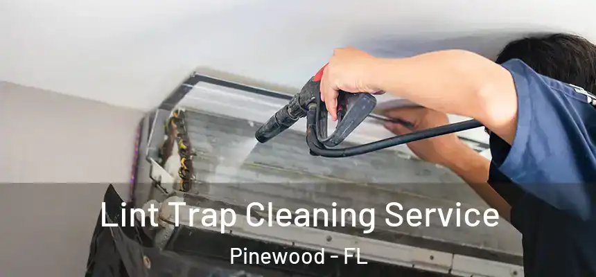 Lint Trap Cleaning Service Pinewood - FL