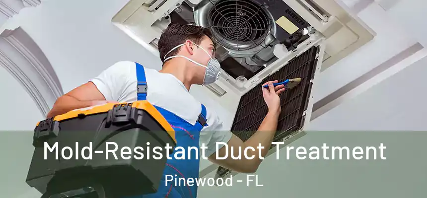 Mold-Resistant Duct Treatment Pinewood - FL
