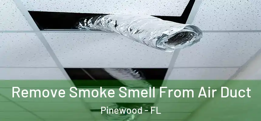 Remove Smoke Smell From Air Duct Pinewood - FL