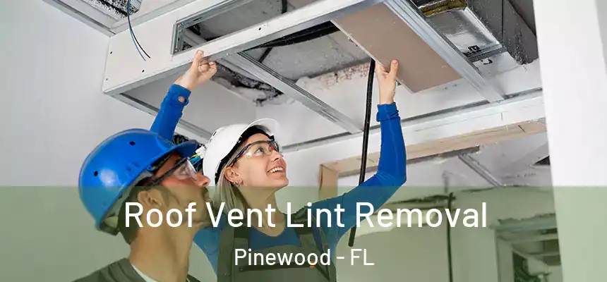 Roof Vent Lint Removal Pinewood - FL