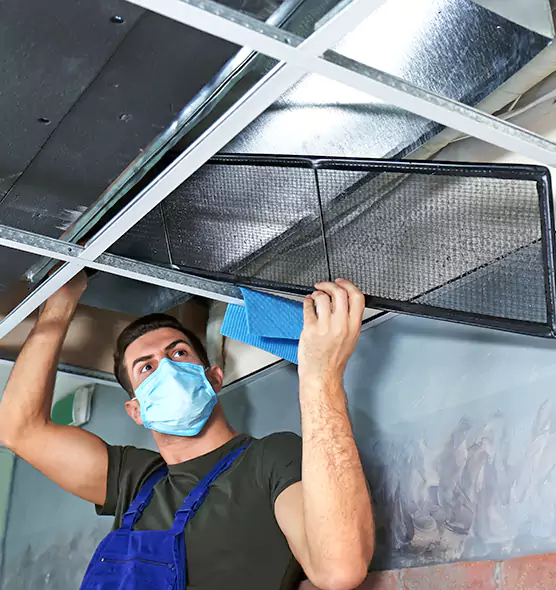 Professional Air Duct Pollen Cleaning in Pinewood, FL