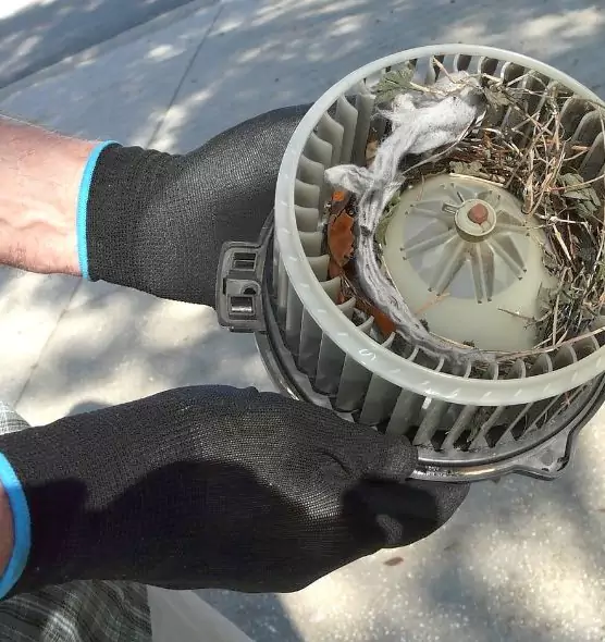 About Air Duct Rat Removal in Pinewood, FL