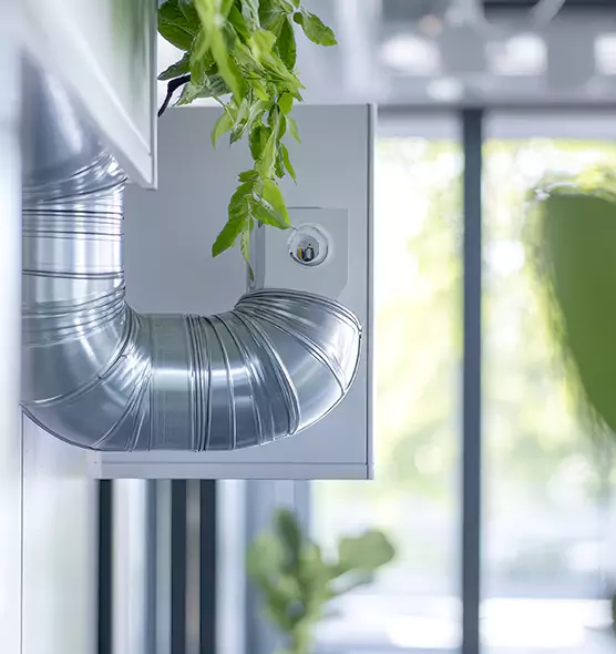 Professional Eco-Friendly Duct Cleaning Services in Pinewood, FL