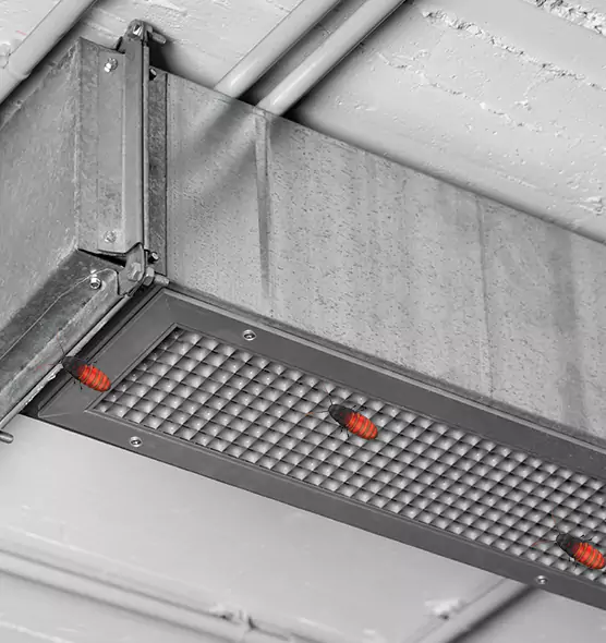 Affordable Insect Removal from Air Ducts in Pinewood, FL
