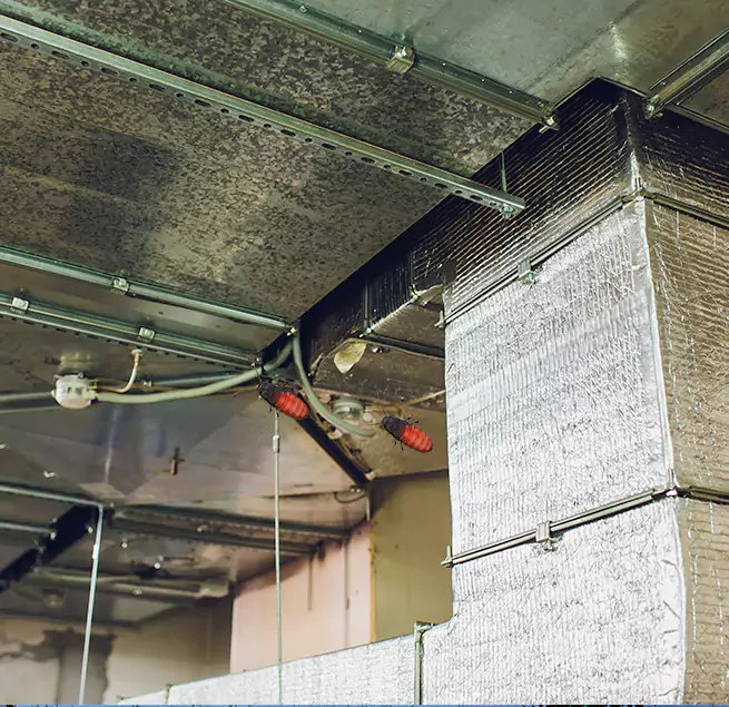 Why Homeowners & Businesses Trust Us in Pinewood, FL?