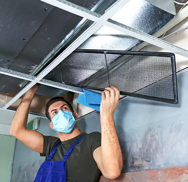 Why Homeowners Businesses Trust Us in Pinewood, FL