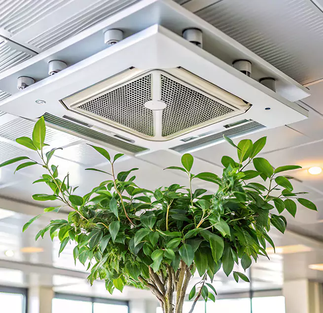 Why Homeowners & Businesses Trust Us in Pinewood, FL