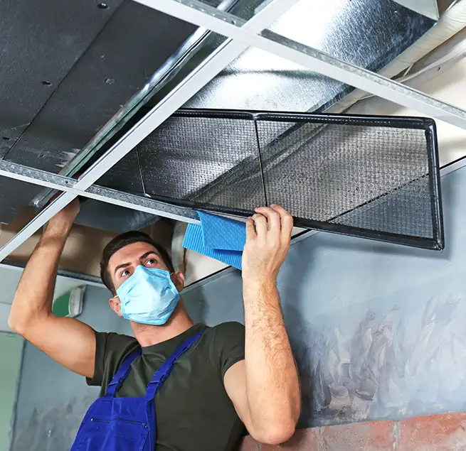 Why Homeowners & Businesses Trust Us in Pinewood, FL?